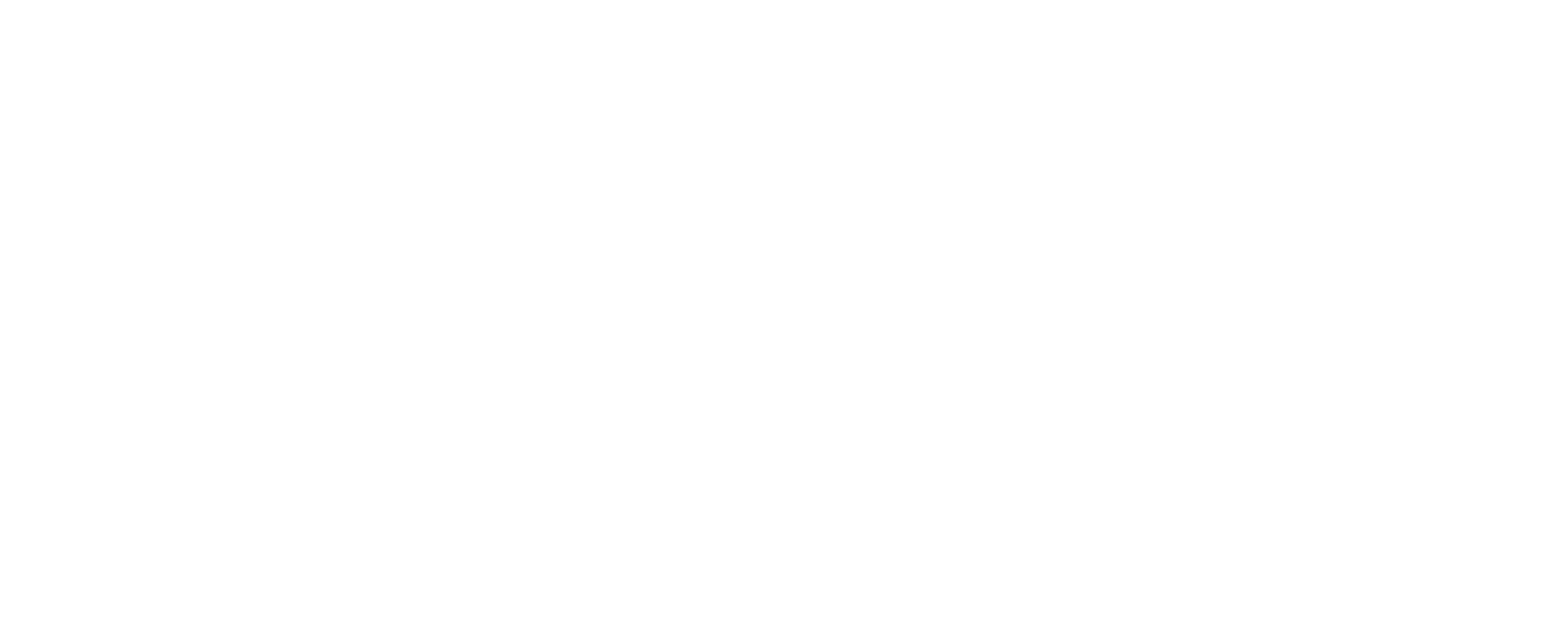 Customer Server Champion